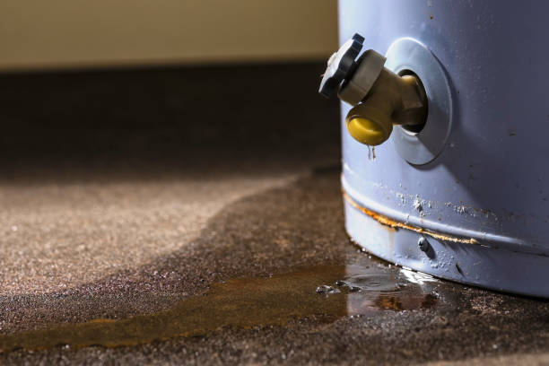 Best Mold removal after water damage  in Montclair, VA
