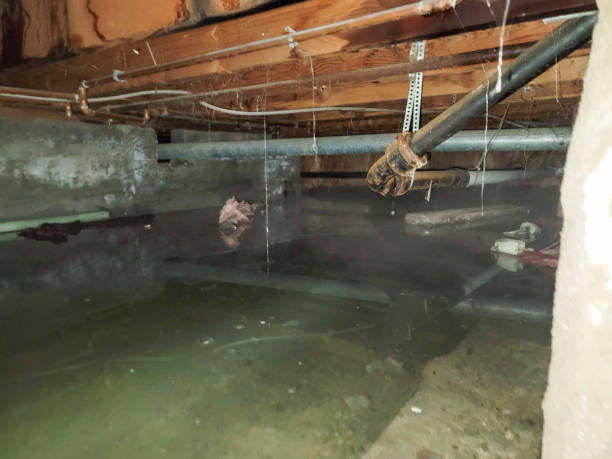 Montclair, VA Water damage restoration Company