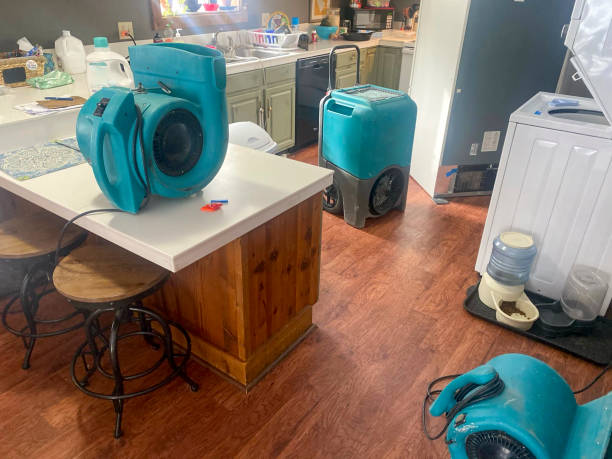 Best Carpet water damage restoration  in Montclair, VA