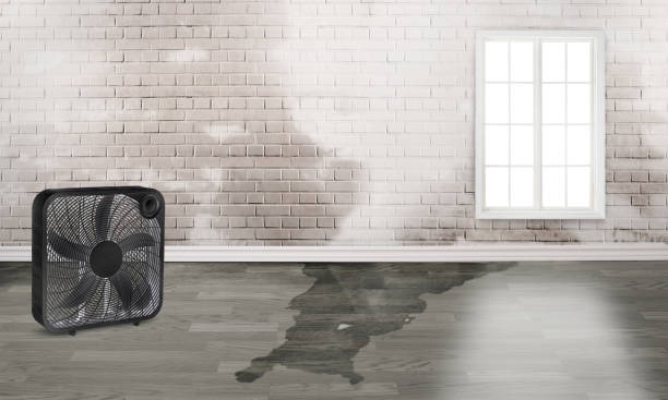 Best Flooded house restoration  in Montclair, VA