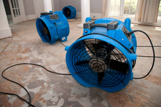 Best Flood damage cleanup  in Montclair, VA