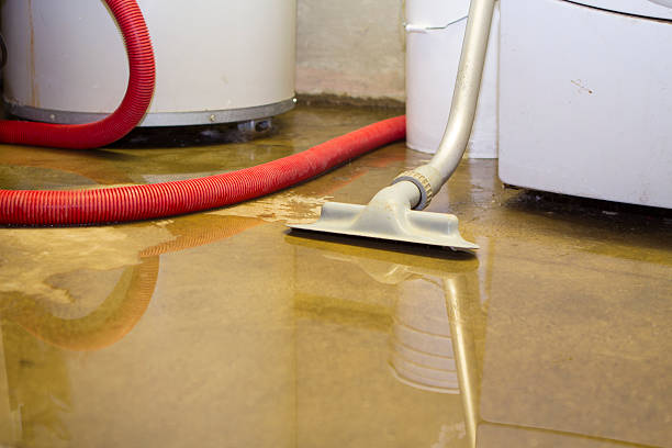 Best Basement water damage restoration  in Montclair, VA