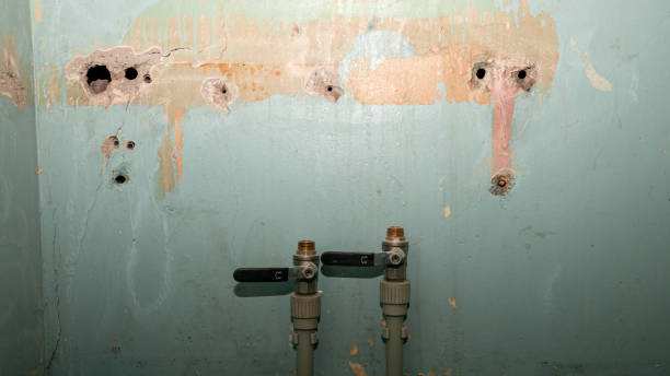 Best Water damage restoration near me  in Montclair, VA