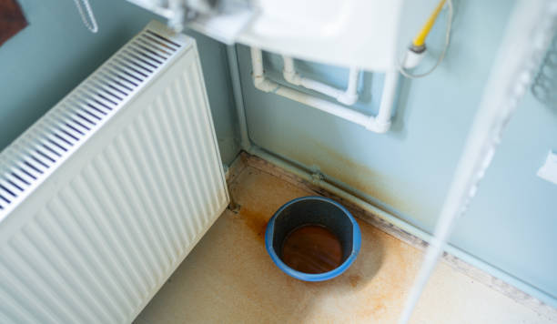 Best Water damage restoration near me  in Montclair, VA