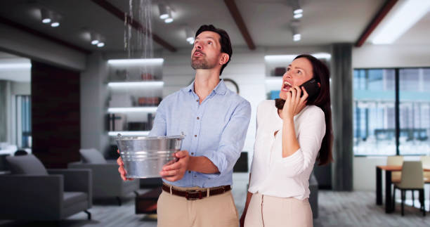 Best Local water damage restoration  in Montclair, VA